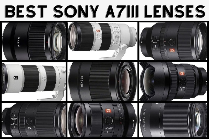 20 Best Lenses For Sony A7iii [Full 2021 Buying Guide!]